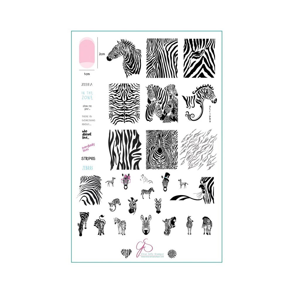 CLEAR JELLY PLATE WILD KINGDOM - ZEBRA 14.5 X 9.5 CM - Purple Beauty Supplies